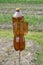 Wind scarecrow of birds from a plastic bottle on the seasonal dacha