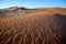 The wind shapes the sand dune, Sossusvlei, Namibia