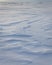Wind shapes of snow on froozen sea