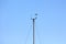 Wind speed and direction instruments mounted on top of tall metal pole held together with three strong wires