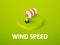 Wind speed isometric icon, isolated on color background
