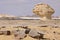 Wind and sun modeled limestones sculptures in White desert,Egypt