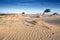 Wind texture on sand dunes