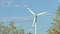 Wind turbine and agricultural fields on a summer day