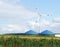 Wind turbine and biogas tanks