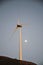 Wind turbine during dusk with moon behind
