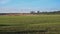 Wind turbine farm behind winter grain field with blue sky, green energy or ecological power generation concept