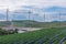 Wind Turbine farm sitting on the Strawberry farmland