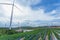 Wind Turbine farm sitting on the Strawberry farmland,