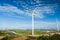 Wind Turbine farm sitting on the Strawberry farmland