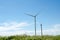 Wind turbine and power line support in yellow rapeseed field, background of sky and clouds, source of alternative energy