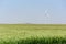 A wind turbine stands tall in a wheat field