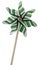 Wind turbine toy or pinwheel isolated