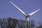 Wind turbine wild bird danger