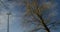 Wind turbine windmill turning in a blue sky with clouds and trees