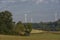 Wind turbines behind a forest