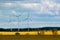 Wind turbines in a blooming yellow rape fields, Poland