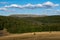 Wind turbines and cattle in the mountains.