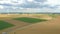 Wind turbines in corn fields