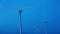 Wind turbines in the countryside by night