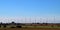 Wind turbines between crop fields in February.