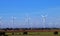 Wind turbines between crop fields in February.