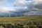 Wind Turbines in the Desert