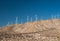 Wind turbines in desert landscape