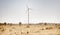 Wind turbines in the desert in Rajasthan and sheep