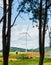 Wind turbines farm on mound view between trees