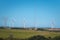 wind turbines in a field