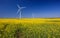 Wind turbines. Fields with windmills. Rapeseed field in bloom in Europe