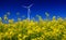 Wind turbines. Fields with windmills. Rapeseed field in bloom. Renewable energy. Protect the environment