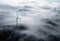 Wind turbines in the fog, windmill for electric power production., generative ai
