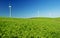 Wind turbines on a green field. Green energy