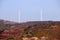 Wind turbines on the hill autumn season