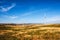 Wind turbines on hilly expanse create energy, Portugal Europe