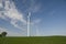Wind Turbines on Iowa Soybean Crop