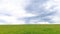 Wind turbines on a meadow near the forest during spring