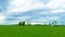 Wind turbines on a meadow near the forest during spring