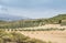 Wind turbines and olive trees