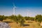 wind turbines and olive trees