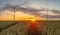 Wind turbines, pure energy,windmills in the fields