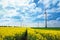 Wind turbines among rapeseed field and meadows