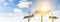 Wind turbines solar panels banner. Renewable photovoltaic technology with solar energy power panel and wind turbine