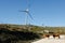 Wind turbines - Stock image