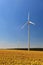 Wind turbines in sunflower field