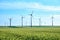 Wind turbines and vivid colors of green wheat field in the Spring on a blue sky, late afternoon. Concept for green energy.