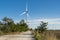 Wind turbines , wind farm in Botievo, Ukraine. Green sustainable energy