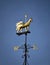 Wind vane